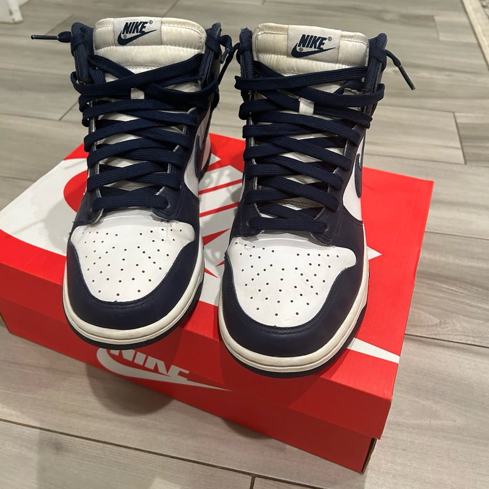 Nike Dunk Hi